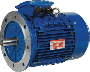 Pièces agricoles - Electricité - Moteur électrique 0,75 kW