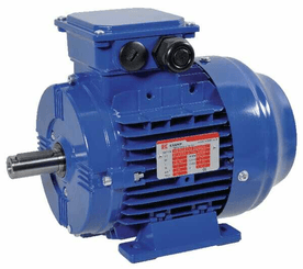 Pièces agricoles - Electricité - Moteur électrique 0,75 kW