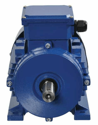 Pièces agricoles - Electricité - Moteur électrique 1,1 kW