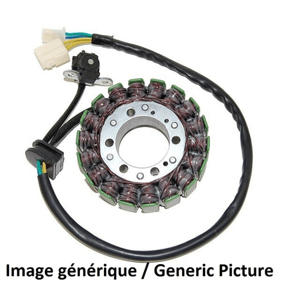 Pièces Quad & Motos - Electrique - Stator ELECTROSPORT - Suzuki GZ250