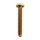 SCREW Polaris origine