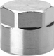 Bouchon femelle BSP