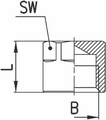 Pièces agricoles - Pièce pneumatique - Bouchon femelle BSP