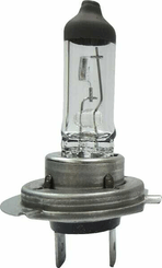 Pièces agricoles - Eclairage - Ampoule H7 24V 70W PX26d Robuste Longue Durée