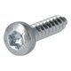Vis auto perforatrice torx 4,2x9,5 mm