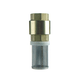 CLAPET/CREPINE LAITON FILETAGE 1"GF