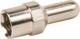 Electrode FL
