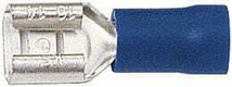 Fiche plate bleue