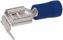 Fiche plate double blau