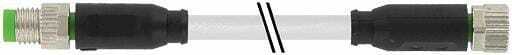 Câble extension capteur 4p 5m