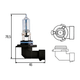 AMPOULE HB3 12V 60W CULOT P20d