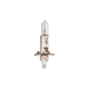 AMPOULE H1 24V REF AA H124