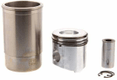 Piston & segment