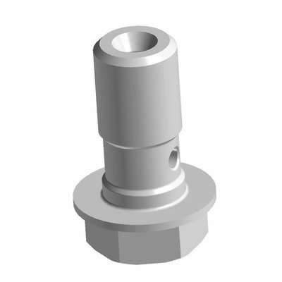 Pièces Quad & Motos - Pièces communes - BANJO BOLT, 10 MM X 1.00 Polaris origine