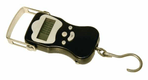 Peson digital DigiScale 50kg