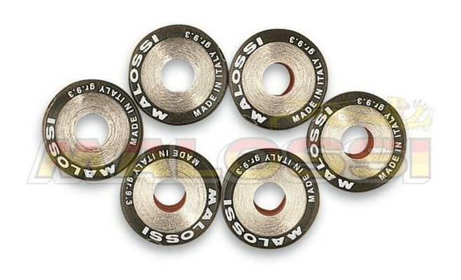 Pièces Quad & Motos - Moteur - Jeu de galets MALOSSI 23x18mm 16gr - 6 pièces
