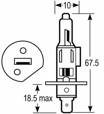 Pièces agricoles - Tracteur pièce adaptable - Blister Lampe H1 12V 55W 12V 55W H1 (x10)