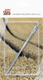 Aiguille simple 15 cm, 2x