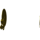 DISTANCE RING Kverneland origine