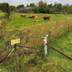 Pièces agricoles - Cloture,Jardin & Sylviculture - FenceAlarm2
