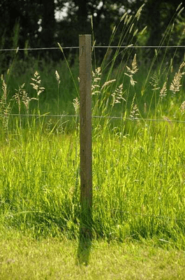 Pièces agricoles - Cloture,Jardin & Sylviculture - Piquet coin 2,00m Insultimber