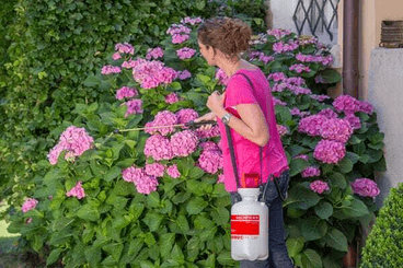 Pièces agricoles - Jardin et forêt pièce origine - Pulvérisateur à accumul. 3 l