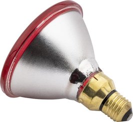 Pièces agricoles - Cloture,Jardin & Sylviculture - Lampe infrarouge 100W rouge, Econ