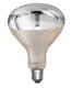 Lampe infrarouge 250W transparente