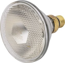 Pièces agricoles - Cloture,Jardin & Sylviculture - Lampe infrarouge 100W transparente, Econ