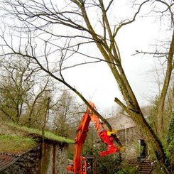 Accessoires et options matériel  - Grue - GRAPPIN COUPEUR XYLOCUT 310 PE