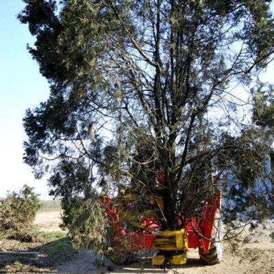 Accessoires et options matériel  - Grue - GRAPPIN COUPEUR XYLOCUT 300