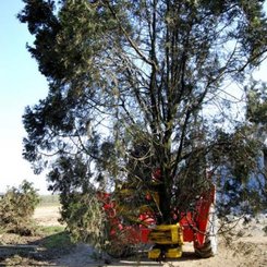 Accessoires et options matériel  - Grue - GRAPPIN COUPEUR XYLOCUT 300