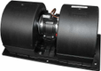 Motor, blower