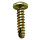 SCREW Polaris origine