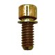 SCREW Polaris origine