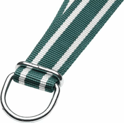 Pièces agricoles - Cloture,Jardin & Sylviculture - Collier 130x4 cm vert/blanc