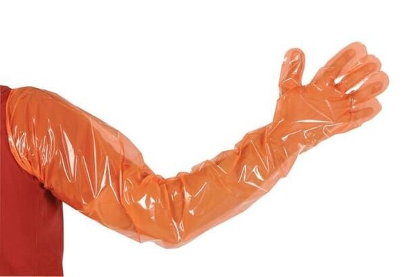 Pièces agricoles - Cloture,Jardin & Sylviculture - Disposable gloves VETbasic 100pcs orange