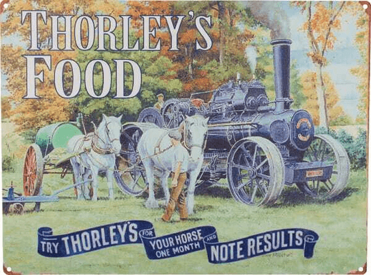 Objets publicitaires - Objets publicitaires divers - Plq. mot.vapeur Thorley's Food