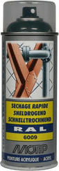 Chimie - Chimie divers - RAL 6009 spray acr. vert sapin