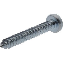 Pièces agricoles - Fasteners - Vis auto perforatrice torx 3,9x22 mm