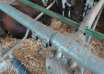 Materiels - Matériel d'élevage - autre - MANCHON RACCORD TUBE D.49MM