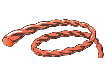 Pièces agricoles - Jardin et forêt pièce adaptable - Fil nylon 3.9mm 128m twist, Vortex Alu