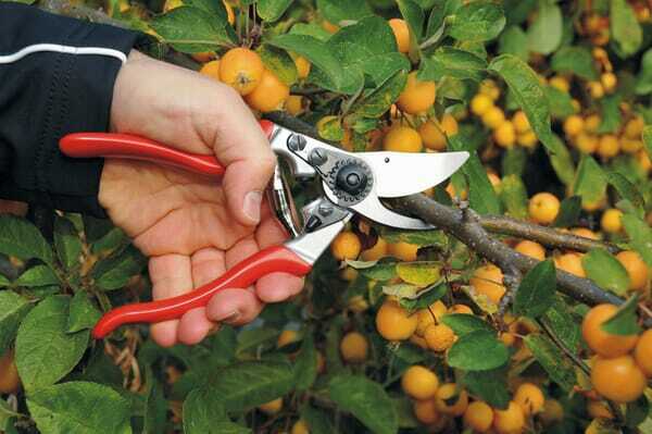 Pièces agricoles - Cloture,Jardin & Sylviculture - Sécateur Felco n° 9 G.