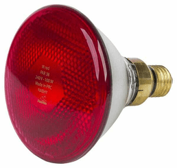 Pièces agricoles - Cloture,Jardin & Sylviculture - Lampe chauffante à infrarouge PAR Rouge 100W