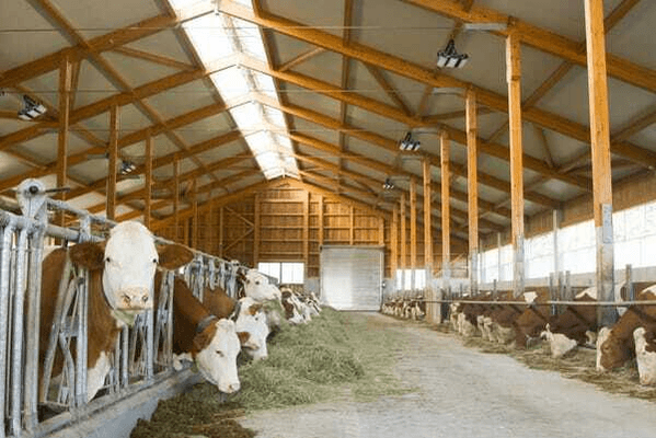 Pièces agricoles - Electricité - Lampes multiples LED
