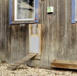 Pièces agricoles - Cloture,Jardin & Sylviculture - Auto Porte pour volaille w. Porte coulissante 300x400 mm