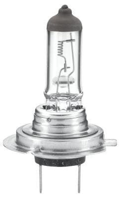 Pièces agricoles - Eclairage - Ampoule h7 24v/70w