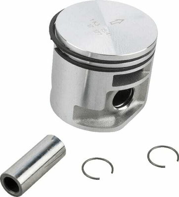 Pièces agricoles - Jardin et forêt pièce origine - Piston
