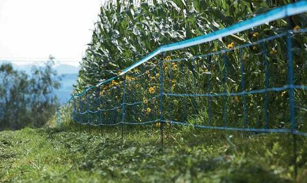 Pièces agricoles - Cloture,Jardin & Sylviculture - Ruban de signalisation pour wildnet bleu 250m