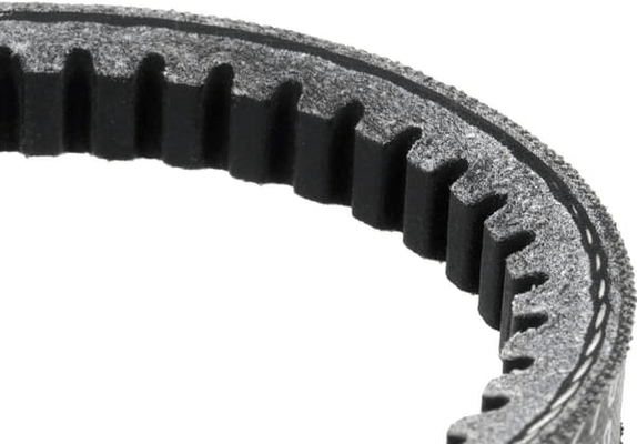 Pièces agricoles - Jardin et forêt pièce origine - Courroie